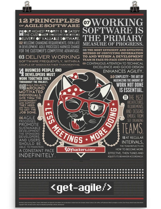 12 Principals of Agile Software Poster