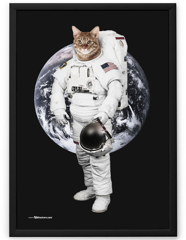 Astro Cat II Poster