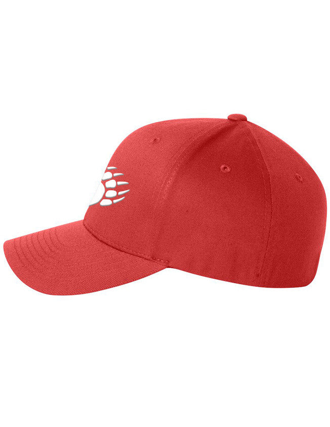 Flexfit - Bear Paw  - 6