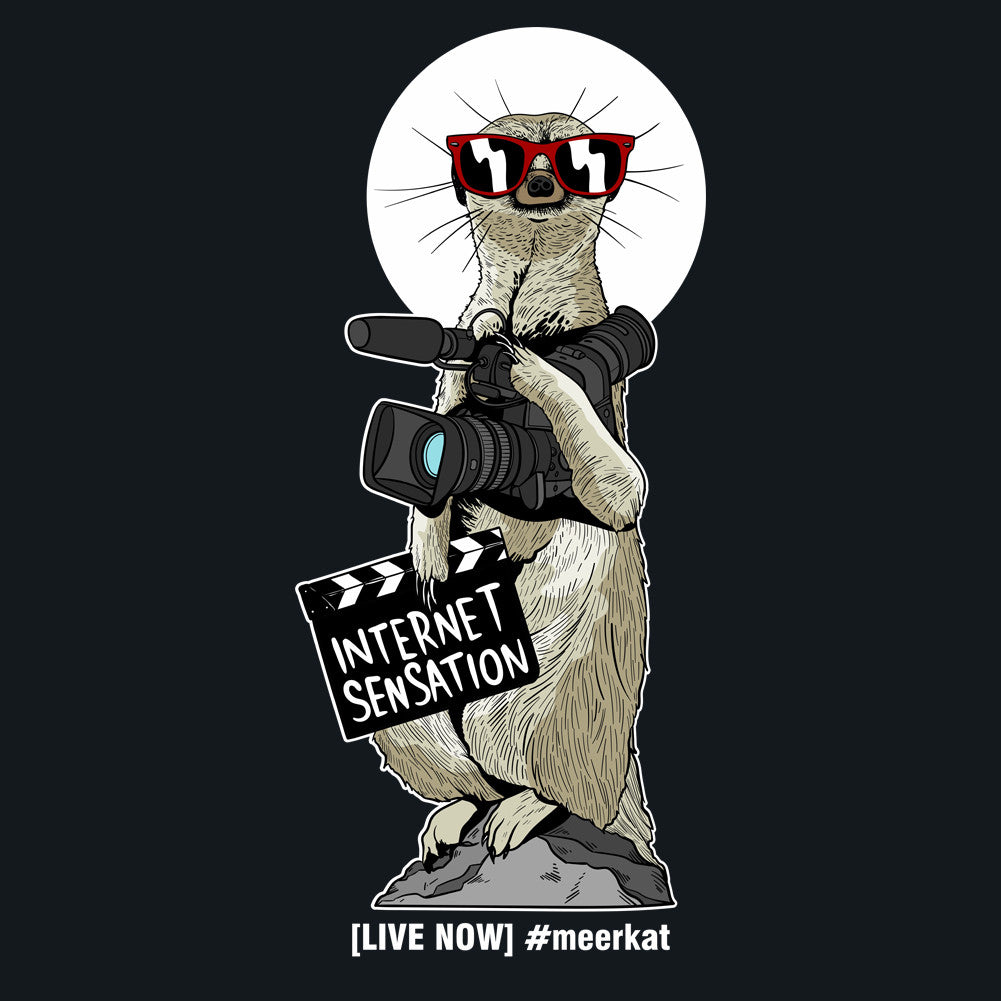 Become a Live Stream Celebrity Use #Meerkat