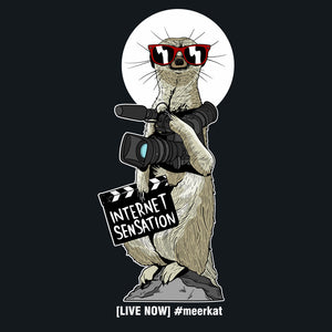 Become a Live Stream Celebrity Use #Meerkat