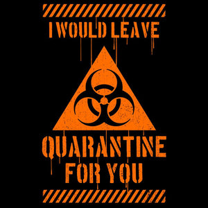 I Would Leave Quarantine For You Unisex Hoodies