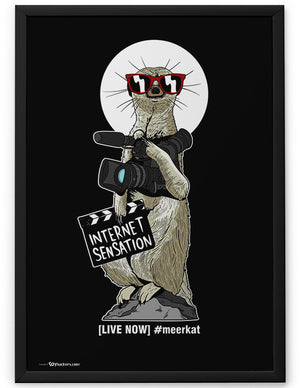 Poster - Become a Live Stream Celebrity Use #meerkat  - 2