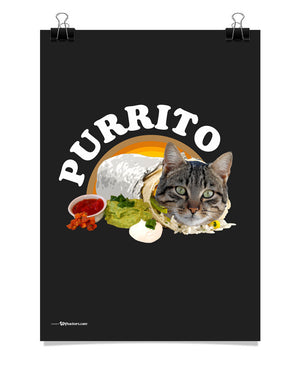 Poster - Purrito  - 1