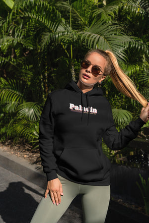 Paladin Unisex Hoodies
